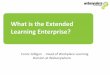 What is the Extended Learning Enterprise?
