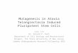 SURF 2015 Mutagenesis in Ataxia Telangiectasia Induced Pluripotent Stem Cells