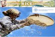 Regional Rice Initiative and its work and results on FFS for Save and Grow Sustainable Intensification of Rice Production- Mr. Johannes W. Ketelaar