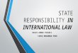 State responsibility in international law