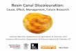 Resin Canal Discolouration cause, effect, management and future research - Presentation from the Darwin Mango Field Day