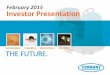 Investor presentation feb 2015 short version