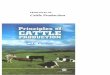 Principles of cattle production C.J.C Phillips