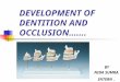 Development of dentition and occlusion