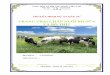 Dự án đầu tư trang trại nuôi bò sữa, bò thịt