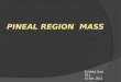 Pineal region masses - radiology