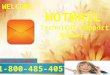 Hotmail Technical Support Number  1-800-485-4057