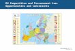 EU Competition and Procurement Law
