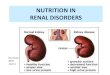 Nutrition in renal dosorders