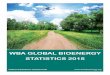 WBA Global Bioenergy Statistics 2015 (press quality).pdf