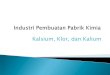 174711974 Industri Kalsium Kalium Dan Klor