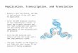 2 Pres Replication, Transcription, And Translation Imp