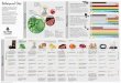 Bulletproof Diet Infographic.small