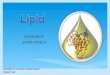 Biokimia Lipid