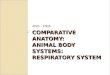 Comparative Anatomy -Respiratory System