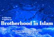 A Collection of Sayings on Brotherhood in Islam