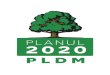 Planul 2020 Al PLDM