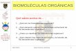 Bio Mole Cul as Organic as 1