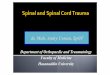 Dr. Maut(Spinal and Spinal Cord Trauma), Dr. Andry Usman