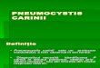 CursVI Pneumocystis Carinii