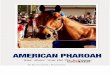 American Pharoah | Snapshots from the Triple Crown