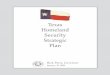 Perry's 2004 Strategic Plan for Homeland Security