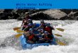 American River Rafting Trips