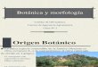 Clase Botanica y morfología.pdf