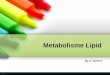 5-metabolisme lipid.ppt