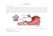 Analisis BAB II Definisi Gastritis