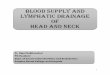 Blood Supply Seminar