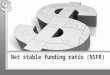 Net Stable Funding Ratio (NSFR)