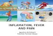 Inflamation, Fever and Pain (2011)