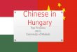 Chinese in Hungary_Pap Fruzsina