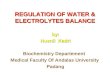 12 Pengaturan Keseimbangan Air Elektrolit