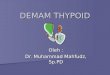 Demam Thypoid-dr Mahfudz