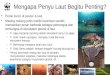 Populasi Penyu di Indonesia.ppt