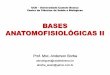 Bases Anatomofisiológicas II