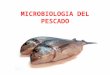 Microbiologia Del Pescado