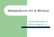 Air & Mineral