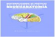 Neuroanatomia Livro Sem Exercicios