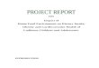 full report on impact on food environment.docx