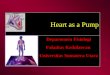 K - 12 Heart as a Pump (Fisiologi)