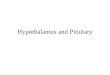 Hypothalamus and Pituitary