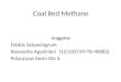 Coal Bed Methane.pptx