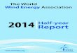 2014 Half-year Report