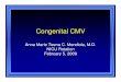 Mendiola-congenital Cmv Presentation