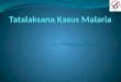 Sosialisasi Manajemen Tatalaksana Kasus Malaria RSUD Selayar