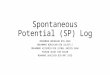 Spontaneous Potential (SP) Log