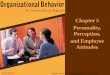 Personality Perception Attitudes